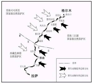 不同季節野生動物的遷移途徑及區段