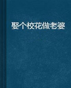 娶個校花做老婆[網路小說]