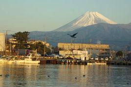 津市[日本城市]