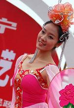 第三屆中國黃梅戲藝術節