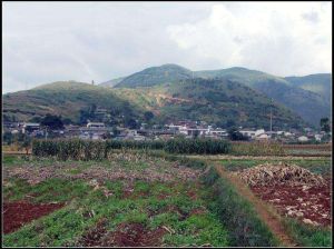 力六山小營村