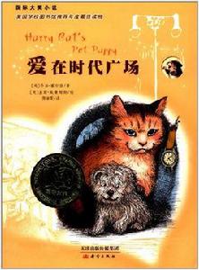 國際大獎小說：愛在時代廣場