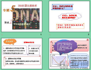 DNA的粗提取與鑑定