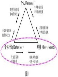 霍曼斯交換理論