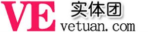 VE實體團