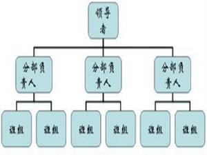 公司組織結構