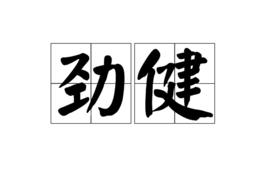 勁健[漢語辭彙]