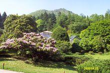 廬山植物園