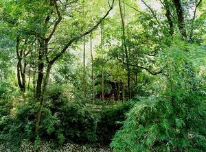 石門洞國家森林公園