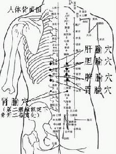 李氏胃炎貼