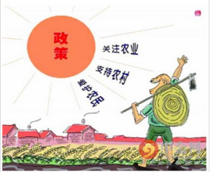 農村集體產權制度改革