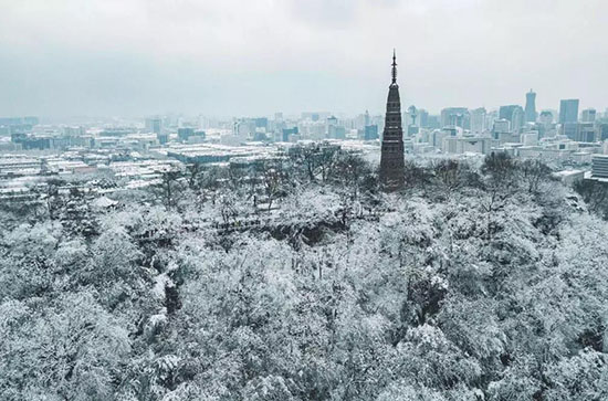 等一個人，陪我在杭州荒度餘生