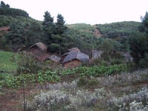 住基村