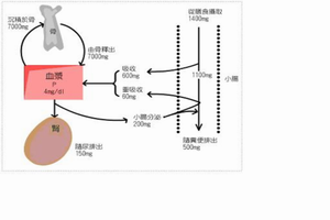 腎上腺素中毒