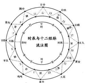 子午流注圖