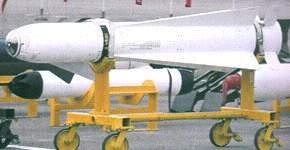 AGM-65“幼畜”空地（艦）飛彈