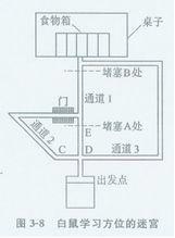 托爾曼的認知地圖論