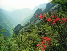 武陵山鄉