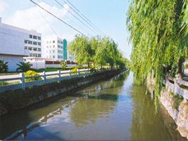 西濱鎮[福建省晉江市西濱鎮]