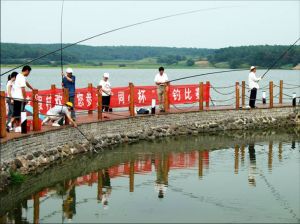 白鷺島國際旅遊度假村 