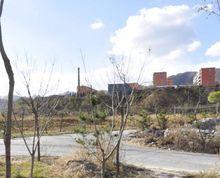 東馬各莊村[河北省唐山市開平區越河鎮下轄村]