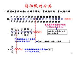 中長鏈脂肪酸