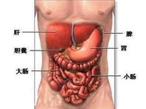 神經性腸梗阻綜合徵