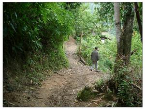 蠻引自然村村內山路