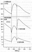 一個心動周期中左右冠狀動脈血流的變化