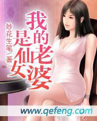 我的老婆是仙女[旗峰天下網路小說]