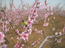 玉黛湖生態鄉村莊園