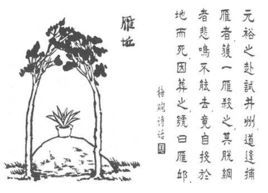 摸魚兒·雁丘詞