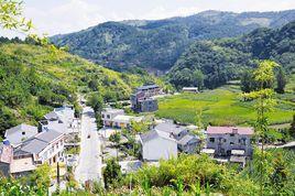 大沙壩村[雲南省瀘水縣魯掌鎮魯掌村下轄村]