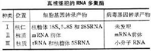 基因調控