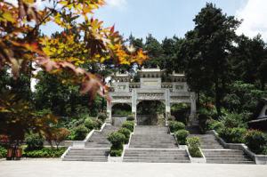 鹿沖關森林公園