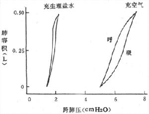 肺通氣