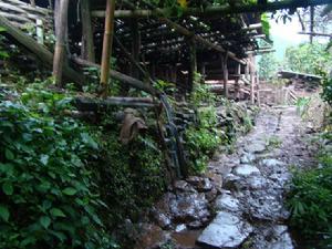 回獨自然村村內道路