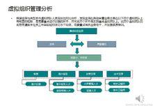 虛擬組織[以信息技術為支撐的人機一體化組織]