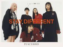 peacebird