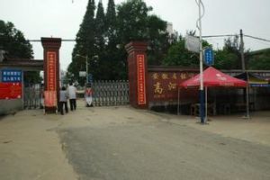 西高河村 西高河村