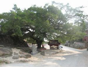 市田村[福建省泉州市洛江區河市鎮下轄村]