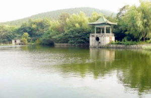 徐州環城國家森林公園景點