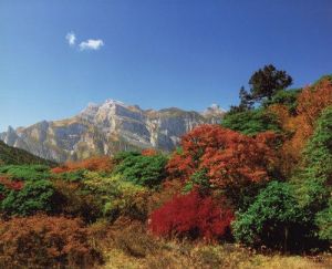 九頂山秋色