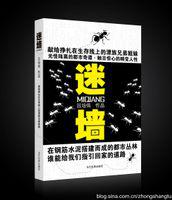 迷牆[2011新銳“晃蕩文學”都市小說]