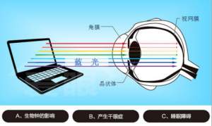 藍光對眼睛傷害原理