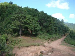 大綠廠山力箐自然村