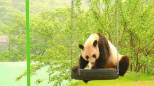 青島森林野生動物園