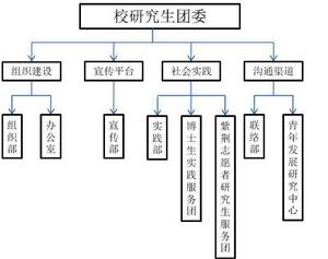 共青團清華大學研究生委員會