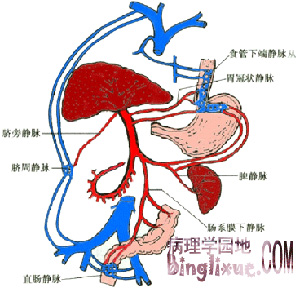 佳息患