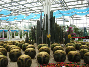 沙生植物園